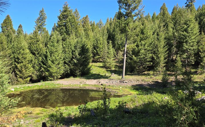 Pictures of Land property located at 4 Tract, Drummond, MT 59832 for sales - image #1