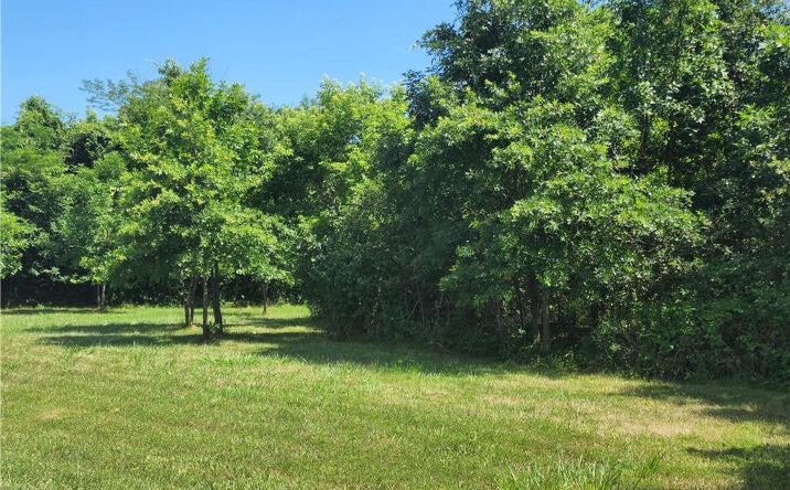 Pictures of Land, Special Purpose, Multifamily property located at 10 Acres 209th Street, Kingsville, MO 64061 for sales - image #1