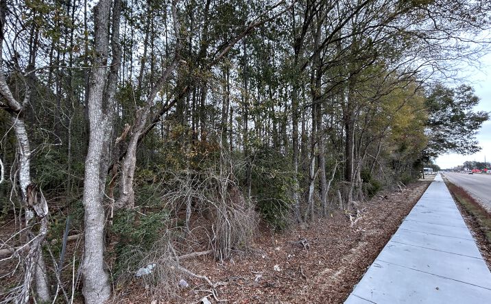 Pictures of Land property located at W University Ave, Hammond, LA 70401 for sales - image #1