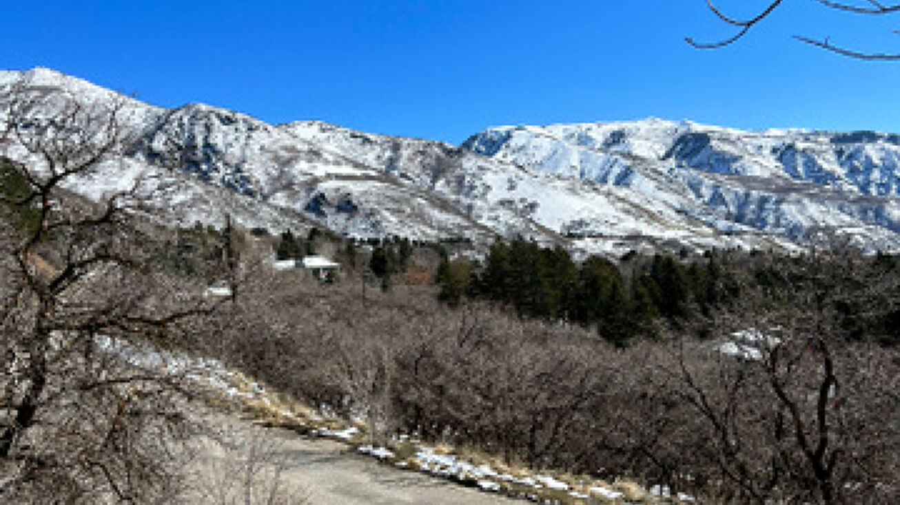 2662 Bonneville Terrace Dr, Ogden, UT 84403