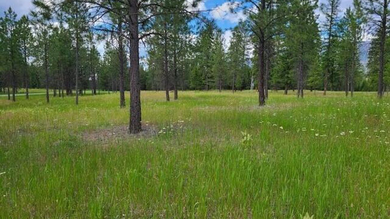 Lot 1a Waterfront West, Thompson Falls, MT 59873
