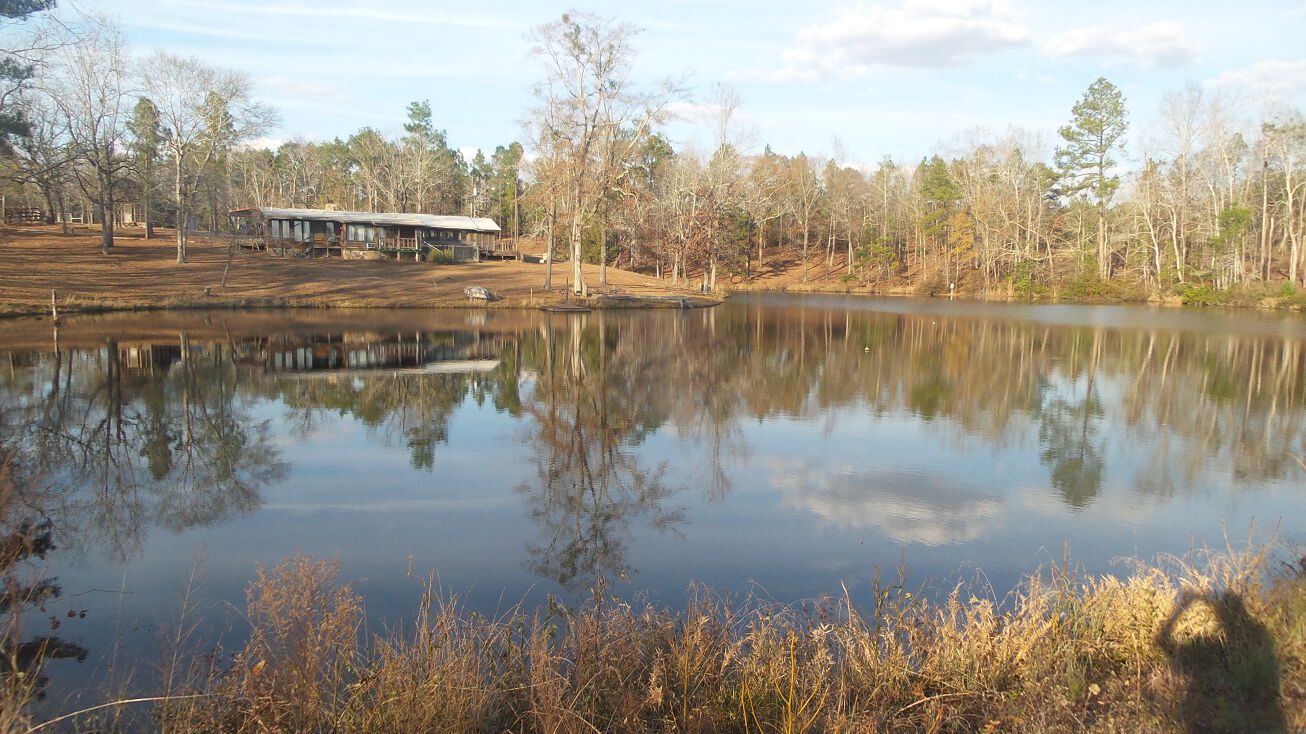 4994 GA137, Buena Vista, GA 31803