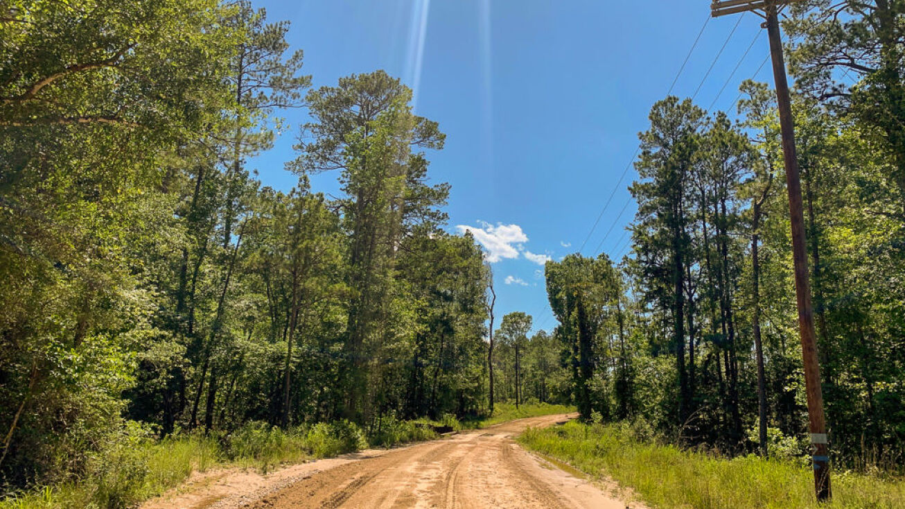 T3 Co Rd 3910, Colmesneil, TX 75938