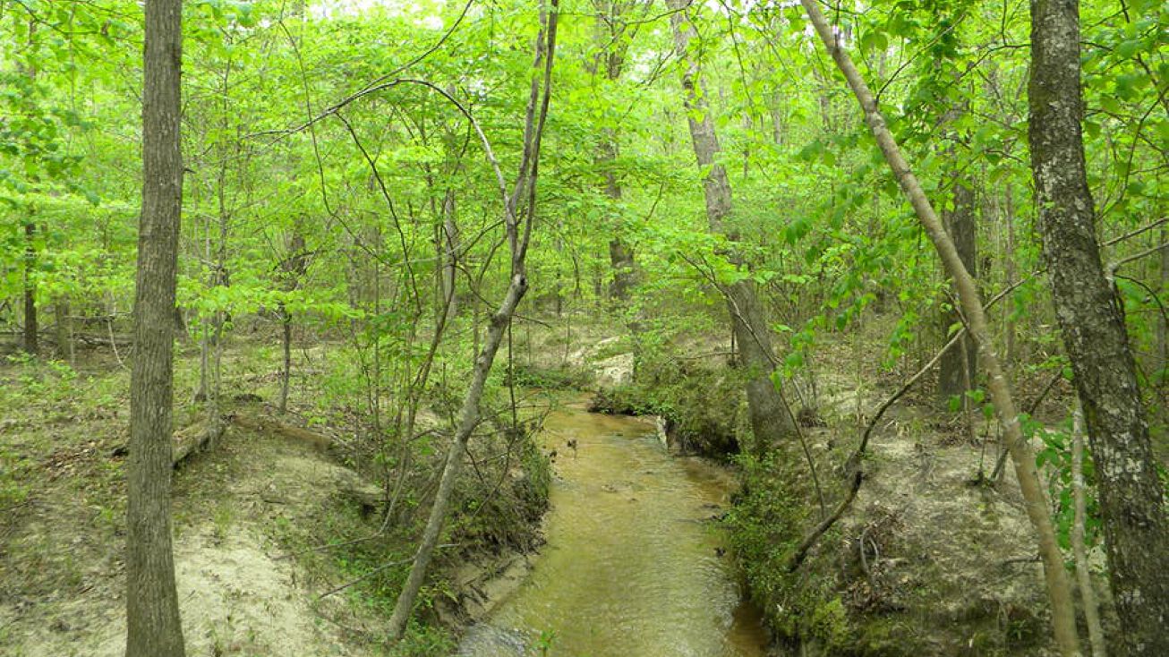 MG0271 (B), Pennington, AL 36916 Land for Sale MG0271 (B)