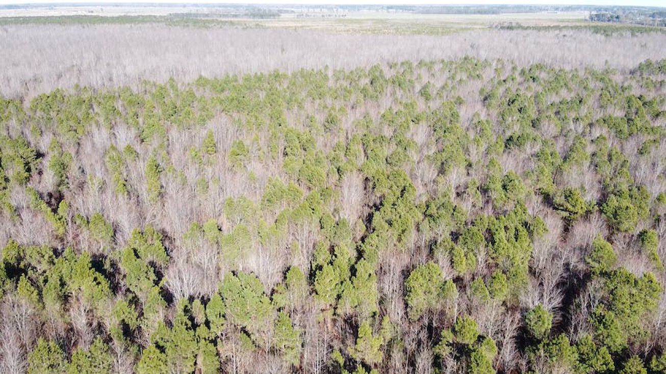 Maple St, Elizabeth City, NC 27909