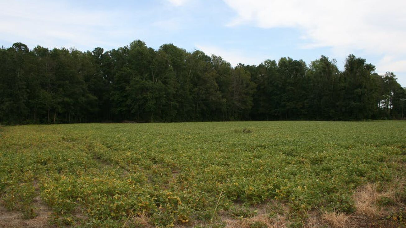 DFF Tract 2, Jamesville, NC 27846 Land for Sale DFF Tract 2