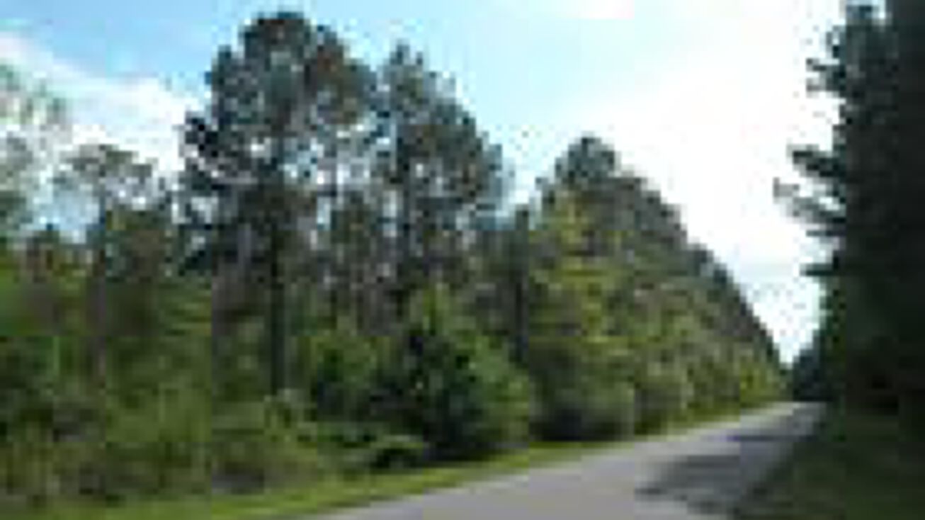 MGO274 South, Pennington, AL 36916 Land for Sale MGO274 South