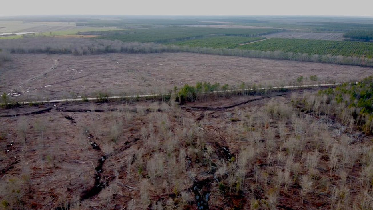 Stanley Riddick Tract, Elizabeth City, NC 27909 Land for Sale