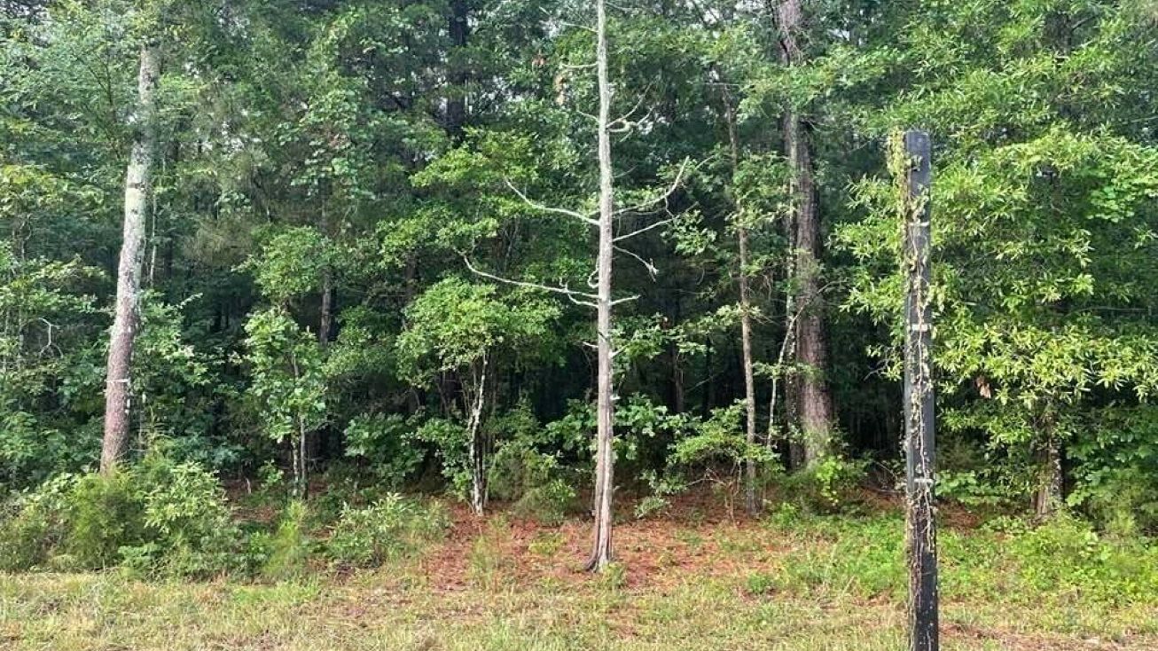 11437 Broad River Rd, Chapin, SC 29036