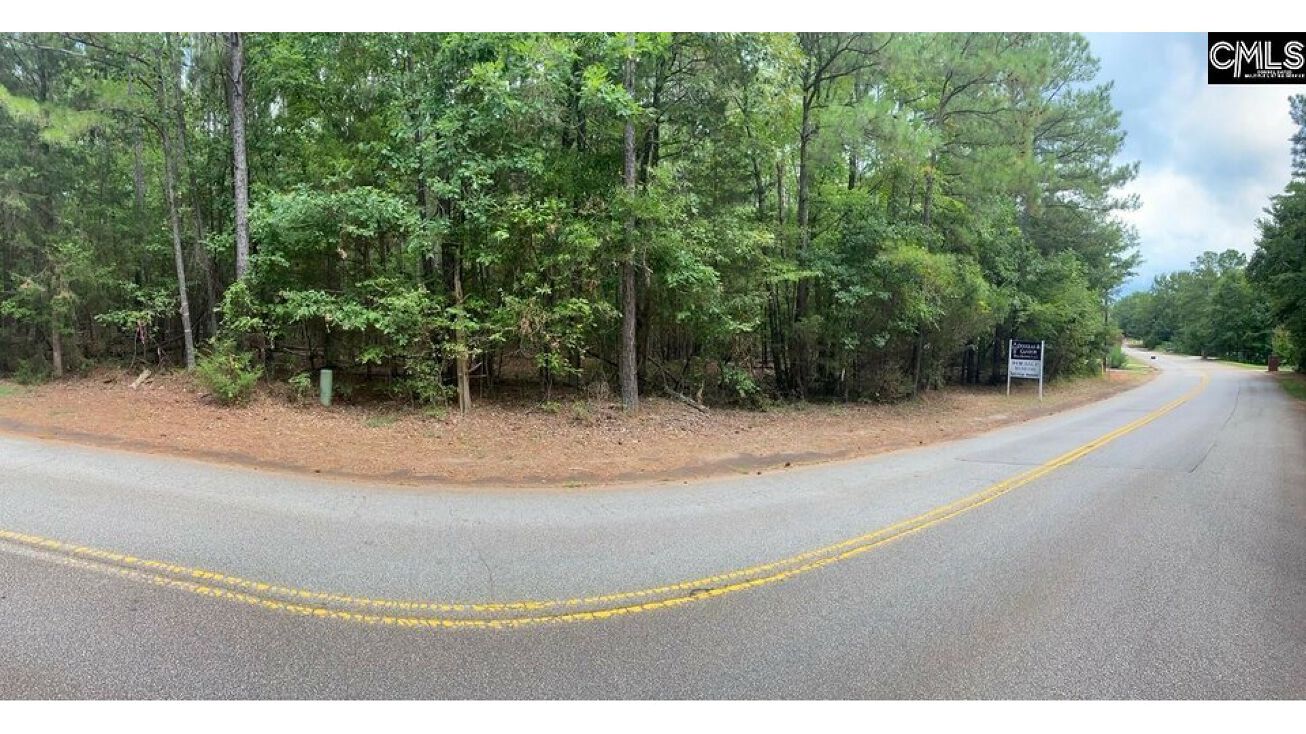 201 Woodthrush Rd, Chapin, SC 29036