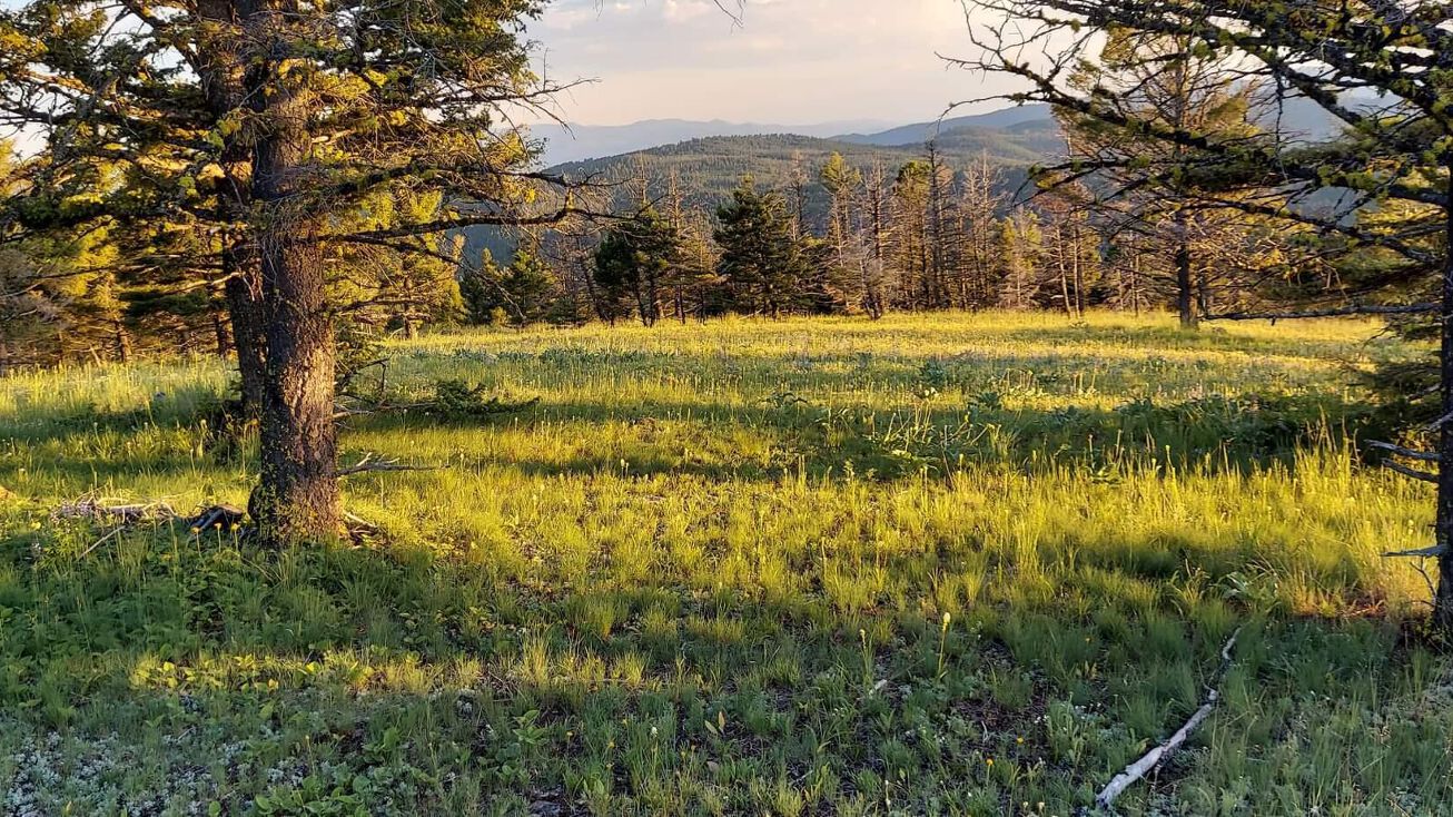 Nhn Hoodoo Wilderness Haven, Helmville, MT 59843 Land for Sale Nhn