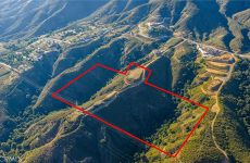 30691908