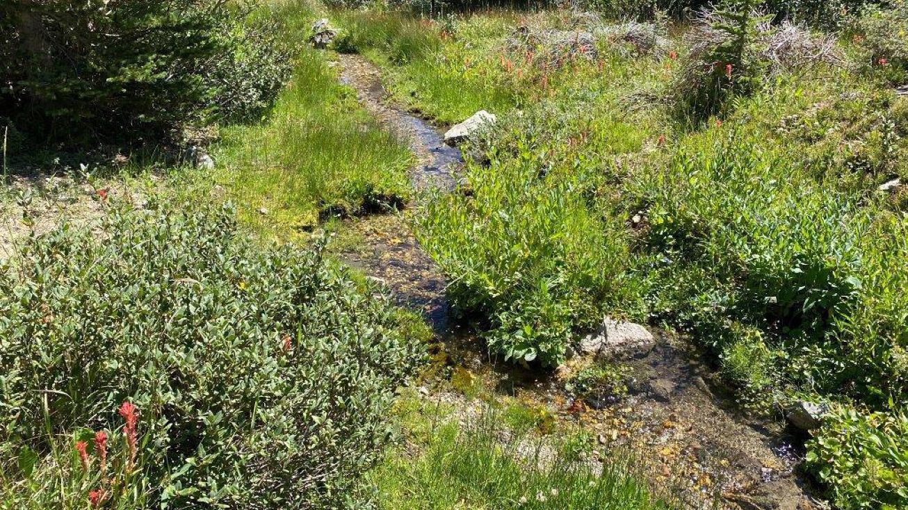 Franklin Trapper Creek Road, Dillon, MT 59725 Land for Sale Franklin Trapper Creek Road