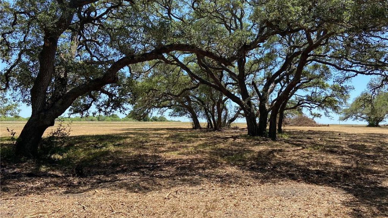 Tract 9 Roitsch Rd, Schulenburg, TX 78956 Land for Sale Tract 9