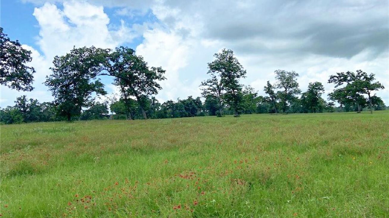 Kuykendall Rd, Bellville, TX 77418