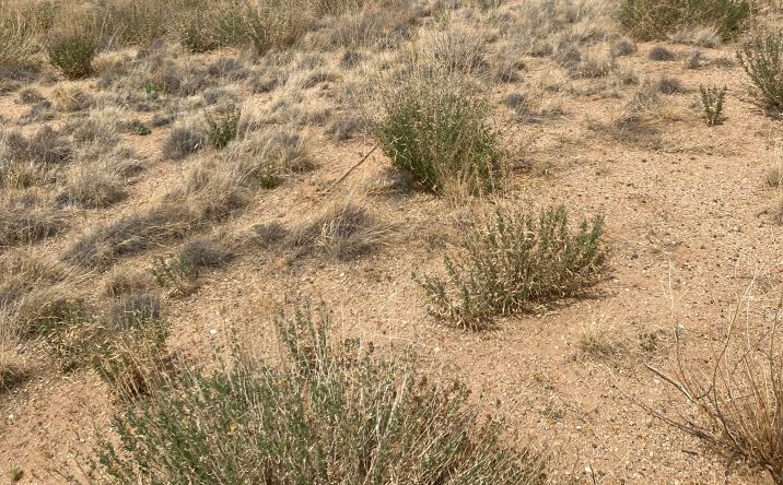 Pictures of Mixed Use property located at 4233 Stockton Hill Rd, Kingman, AZ 86409 for sales - image #1