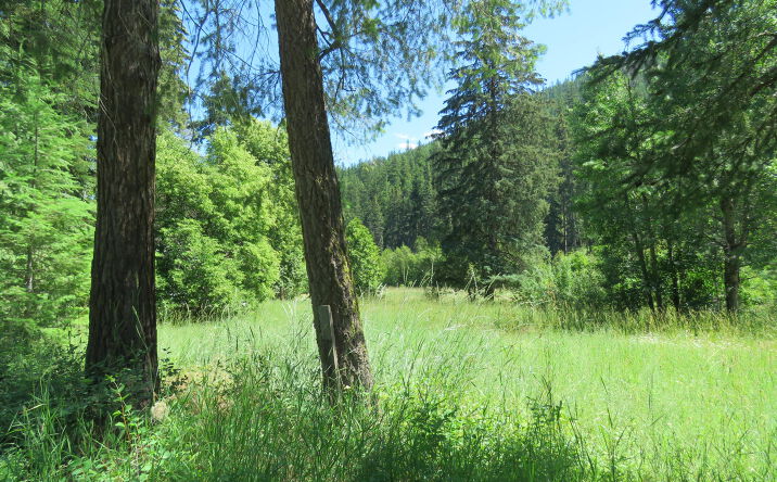 Pictures of Land property located at 2013 Five Mile Creek Road, Libby, MT 59923 for sales - image #1