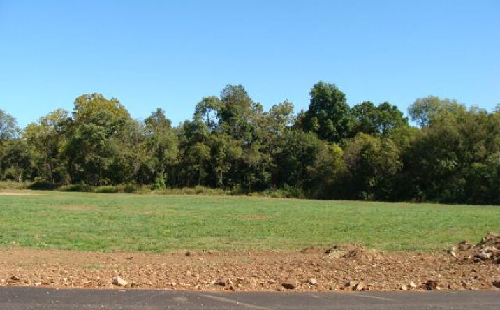 Pictures of Industrial, Land property located at 0 Hwy 67, Desloge, MO 63601 for sales - image #1