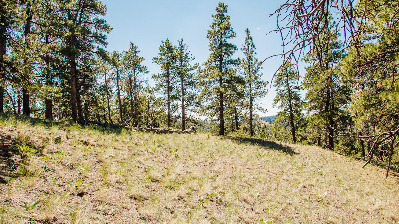 Lot 23 Dearborn River Road, Cascade, MT 59421