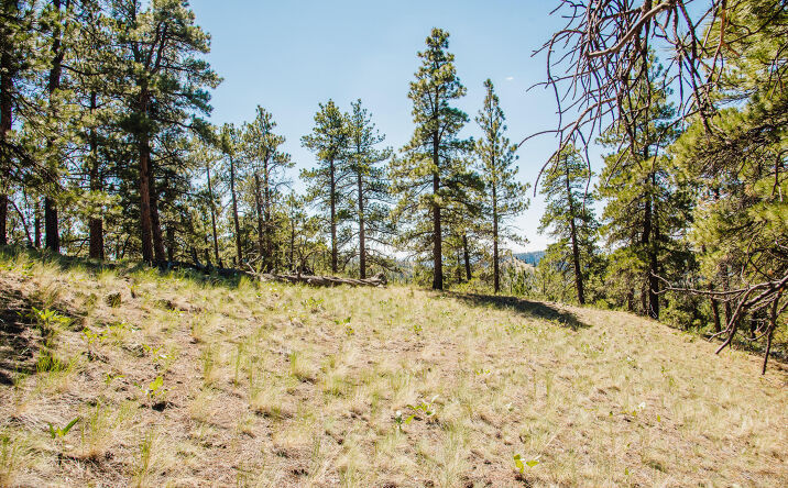Pictures of Land property located at Lot 23 Dearborn River Road, Cascade, MT 59421 for sales - image #1
