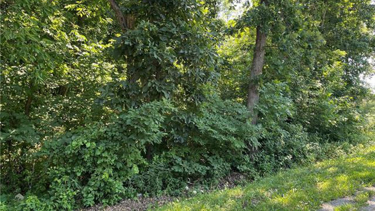 Lot 1916 Lake Viking Terrace, Gallatin, MO 64640