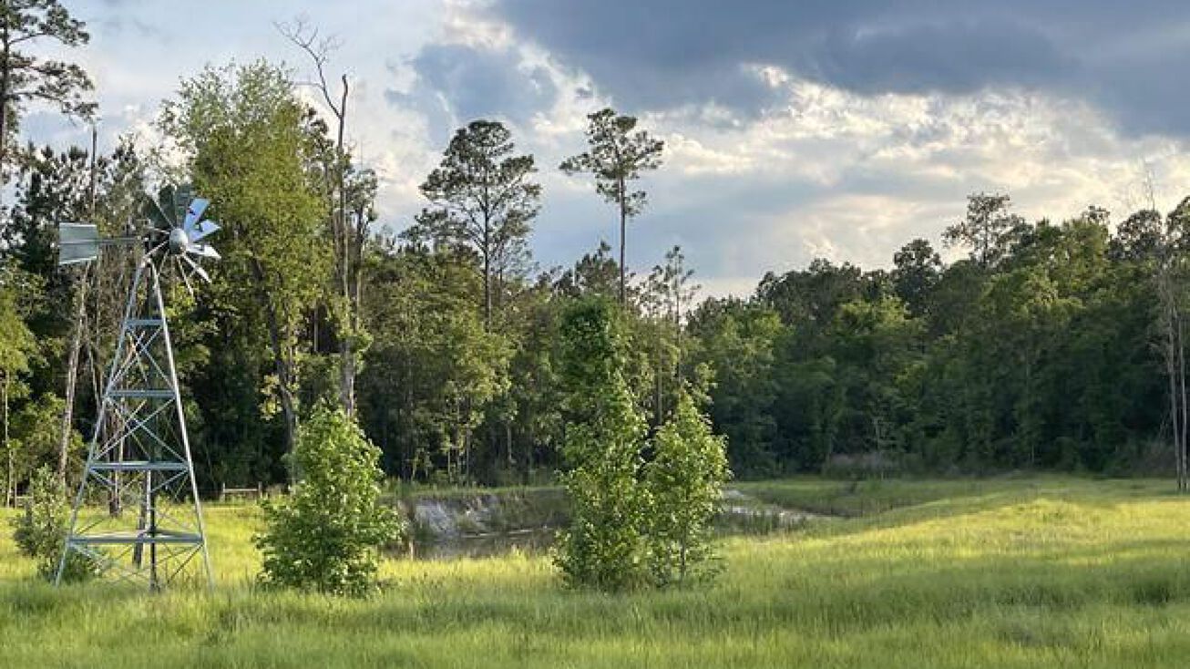 6590 Bill Lundy Rd, Laurel Hill, FL 32567