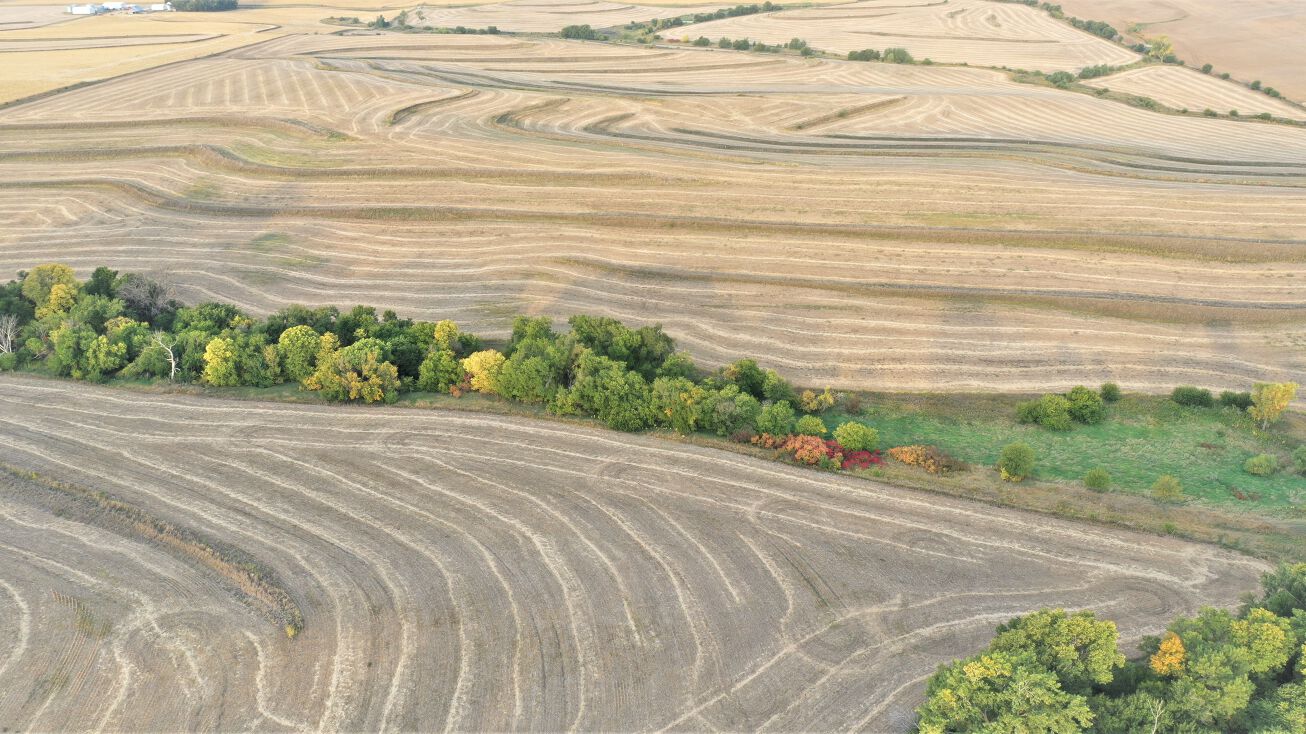 Co Rd 15, Lyons, NE 68038