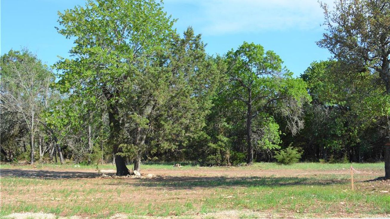 140 Blessing Ranch Rd, Liberty Hill, TX 78642