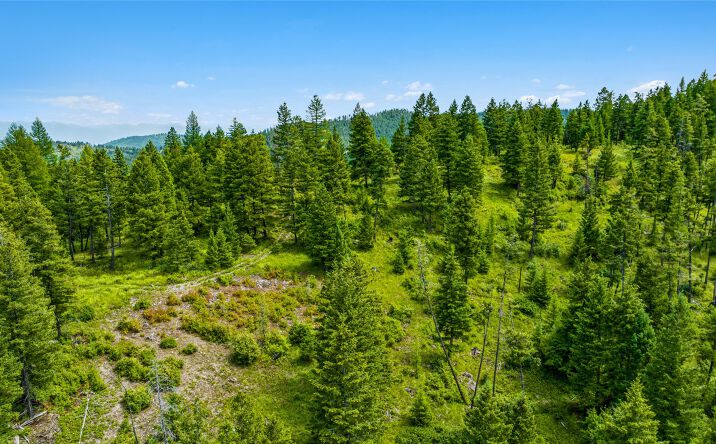 Pictures of Land property located at Nhn Go Away Lane, Kalispell, MT 59901 for sales - image #1