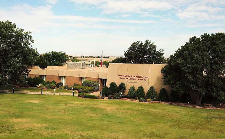Pictures of Office property located at 6500 W Amarillo Blvd, Amarillo, TX 79106 for sales - image #1