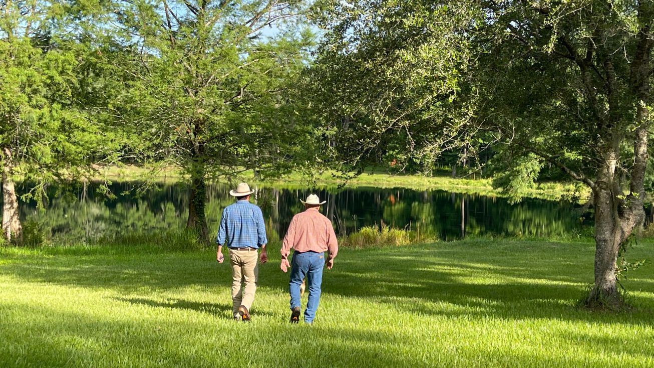 585 Lott Rd, Monticello, FL 32344 Land for Sale Ox Lake Tree Farm