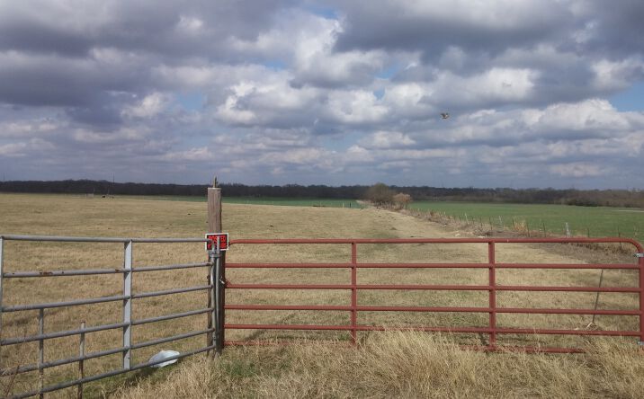 Pictures of Land property located at Sugar Cane Ln, Temple, TX 76501 for sales - image #1
