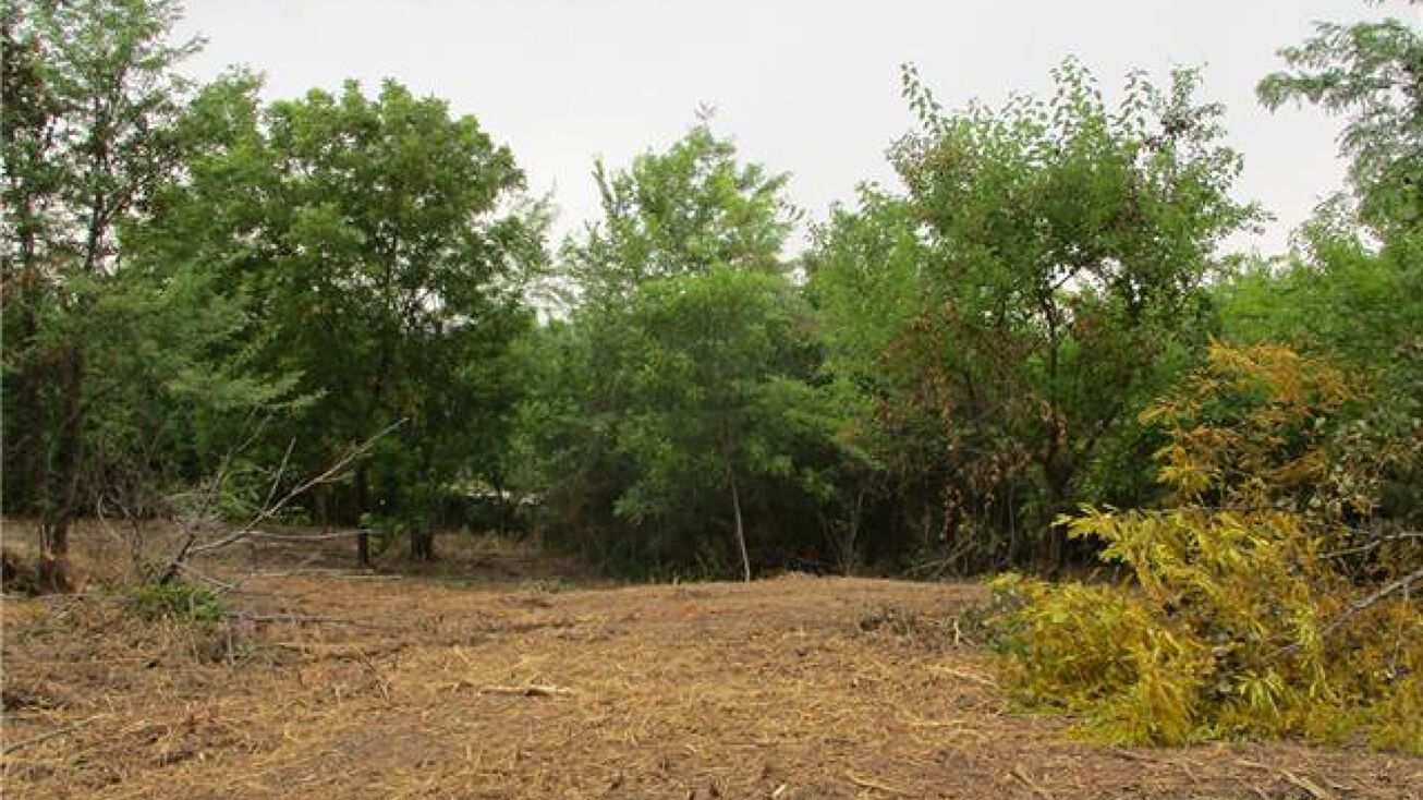 17770 246th Street, Tonganoxie, KS 66086