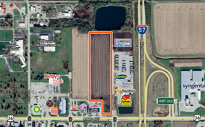 Pictures of Land property located at Moore Ave, Tuscola, IL 61953 for sales - image #1