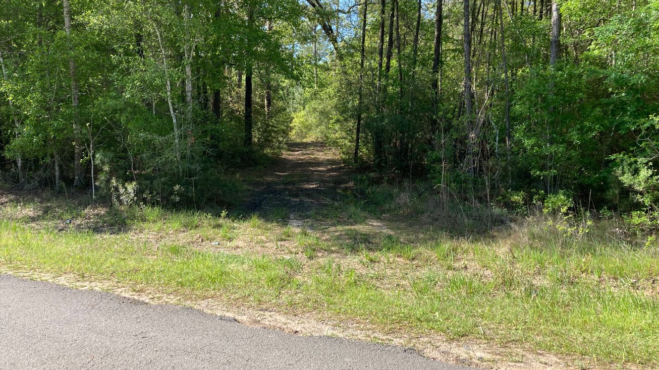 Petty Walker Ln, Conroe, TX 77306 Land for Sale Burton Forest