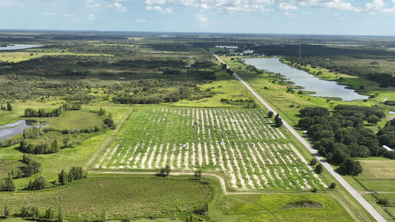 Hwy 555, Fort Meade, FL 33841