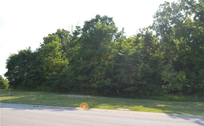 Pictures of Land property located at 6836 N Myrtle Court, Gladstone, MO 64119 for sales - image #1