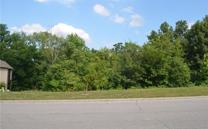 Pictures of Land property located at 7001 N Norton Avenue, Gladstone, MO 64119 for sales - image #1