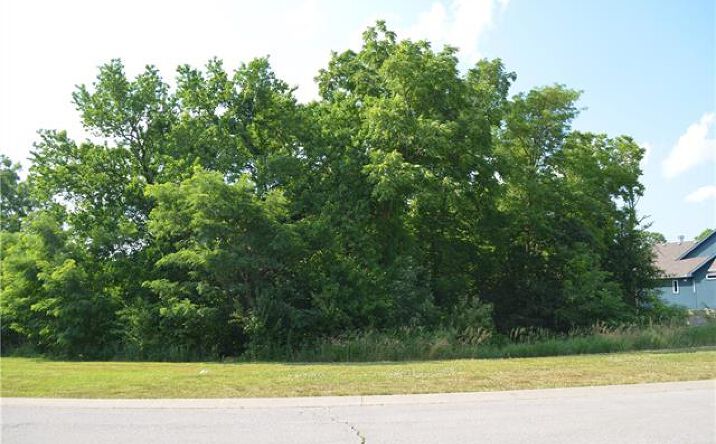 Pictures of Land property located at 6854 N Norton Avenue, Gladstone, MO 64119 for sales - image #1
