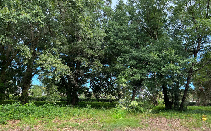 Pictures of Land property located at TBD Wall St, Pawleys Island, SC 29585 for sales - image #1