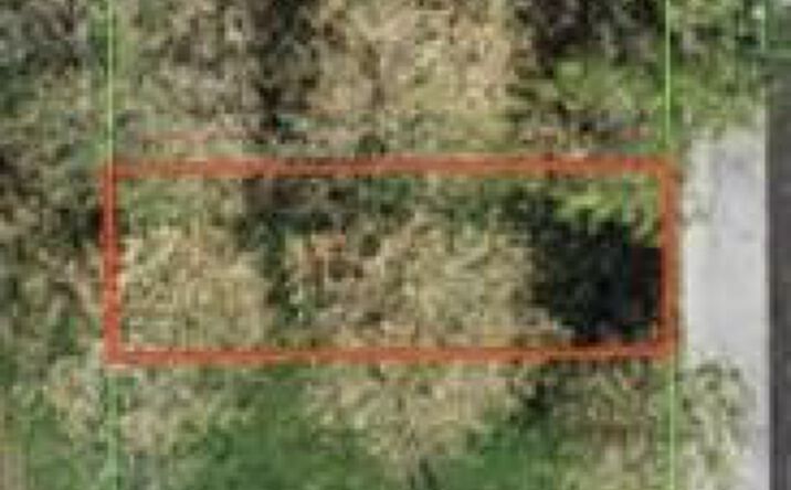Pictures of Special Purpose, Land property located at 363 S Lake Avenue 1, Pahokee, FL 33476 for sales - image #1