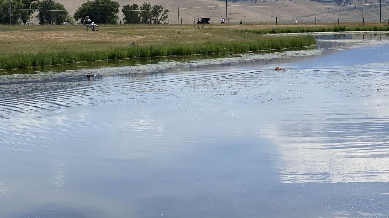 Hwy Mt212, Charlo, MT 59824