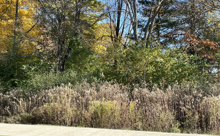 Pictures of Land property located at V/L Lawnmark Dr, Hudson OH 44236  Parcel A, Hudson, OH 44236 for sales - image #1
