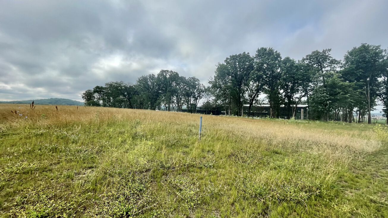 4133 Bear Tree Pkwy, DeForest, WI 53532 Land for Sale Low Density