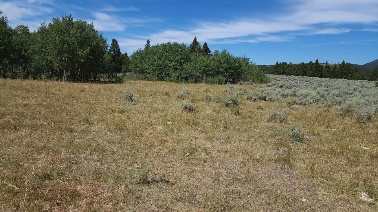 16 Tract, Helmville, MT 59843