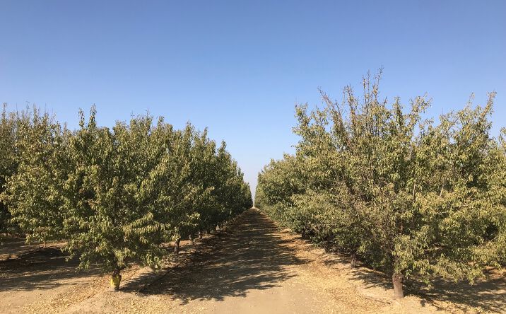 Pictures of Land property located at Schallock Rd, Bakersfield, CA 93311 for sales - image #1
