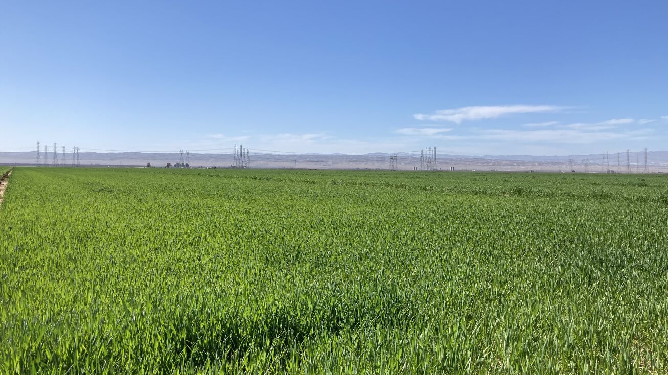 Highway 58, Buttonwillow, CA 93206 Land for Sale Rosedale Rio