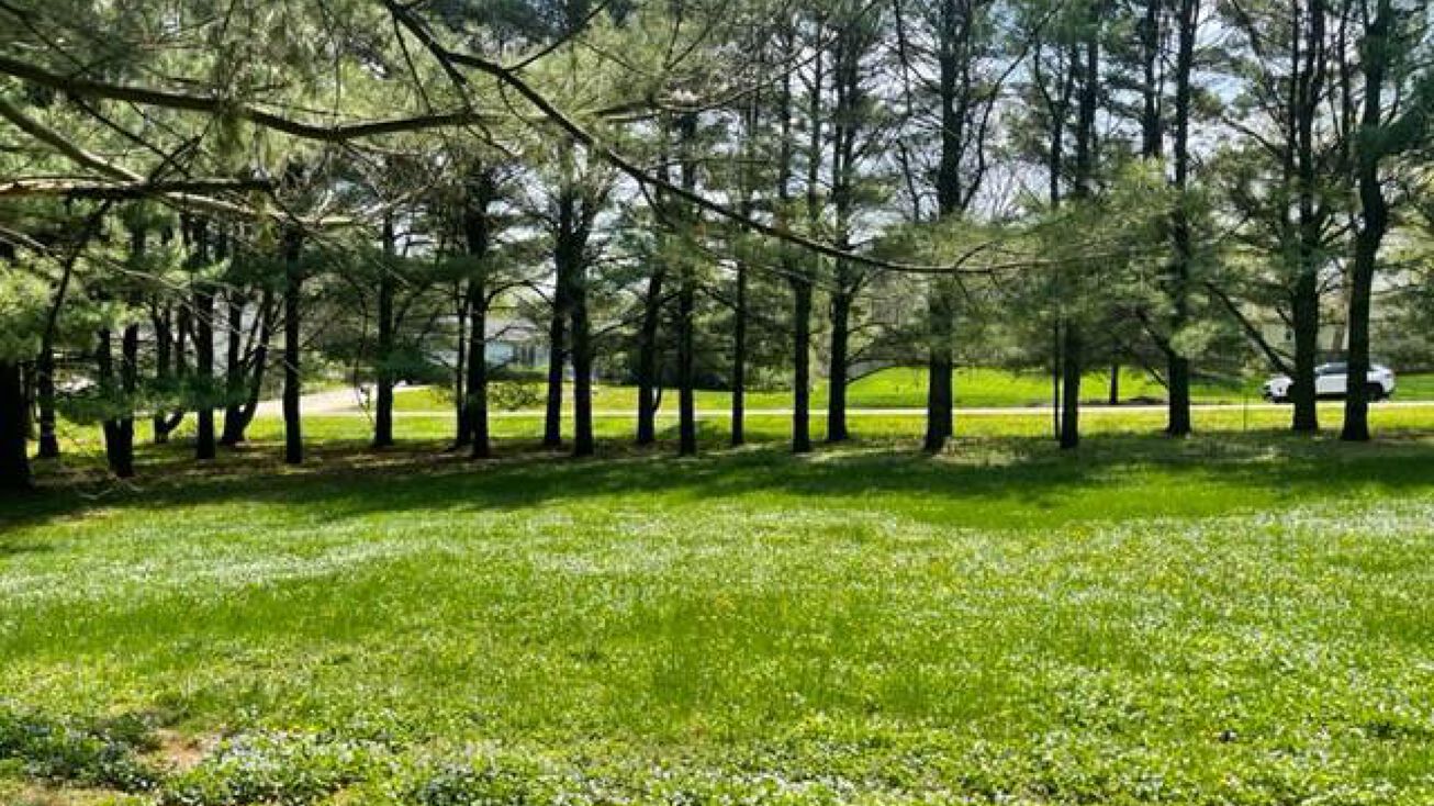 Lot 2 Plainfield Ct, Middleton, WI 53562