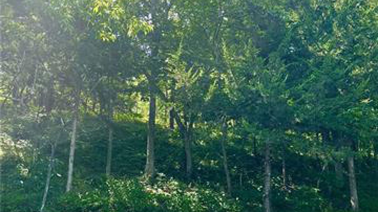 37 E Lakeside Circle, La Cygne, KS 66040