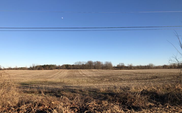 Pictures of Land property located at Grove Rd, Watertown Twp, MI 48906 for sales - image #1